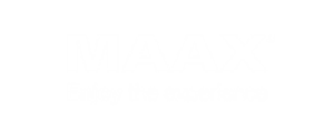 maxx logo